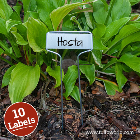 Cap Style Plant Labels - 13102