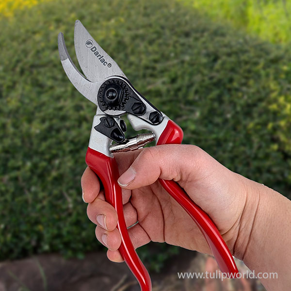Darlac Bypass Pruners