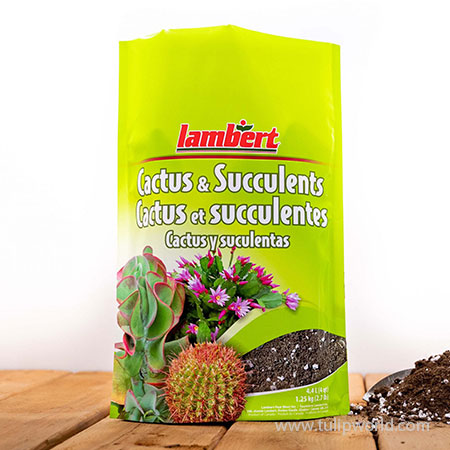 Lambert 4 qt Cactus and Succulent Mix