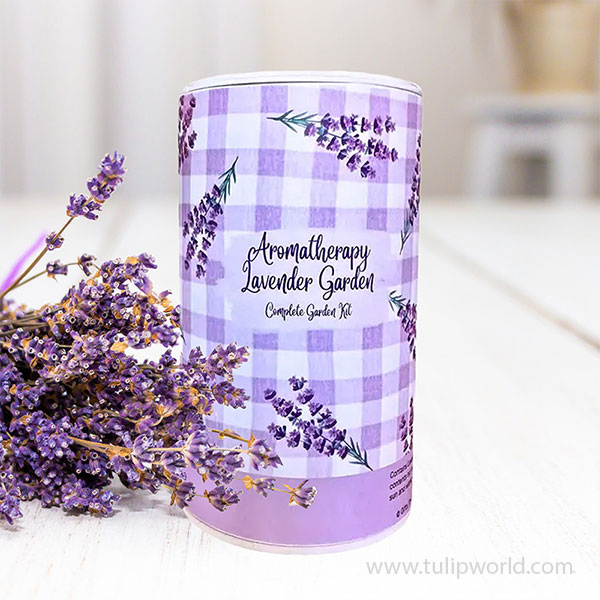 Lavender Aromatherapy Garden Seed Shaker Can