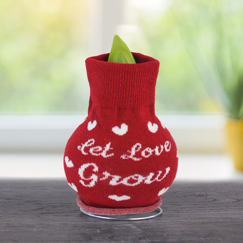 Love Grows Sweater Amaryllis - 42412
