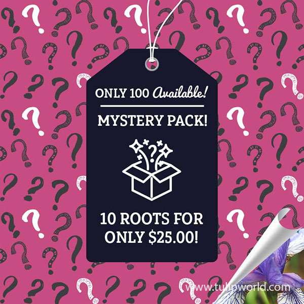 Mystery Perennial Pack