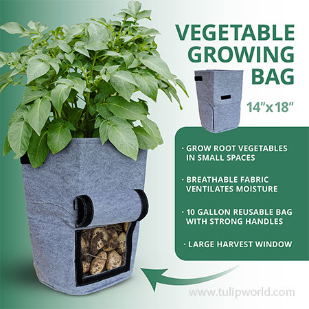Vegetable Growing Bag