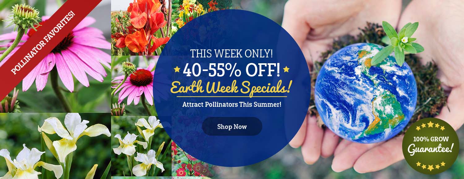EARTH WEEK: 55% OFF Spring Savings!