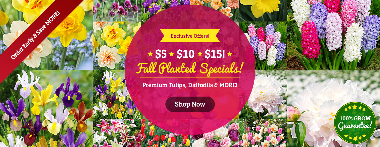 $5, $10, $15 Fall Planted Specials!