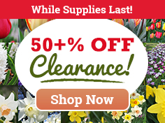 50+% OFF Fall Clearance Sale!