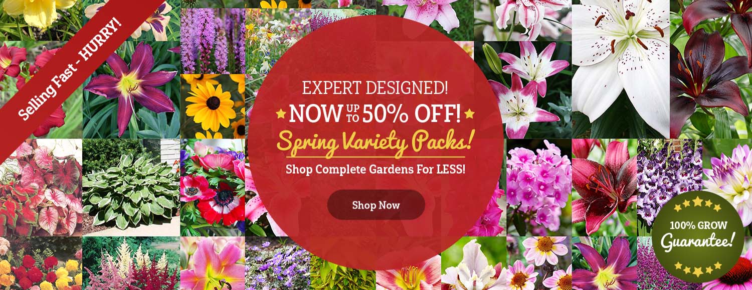 Up To 50% OFF Spring Variety Packs!