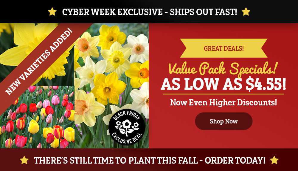 CYBER WEEK EXCLUSIVE: Value Packs as LOW as $4.37!